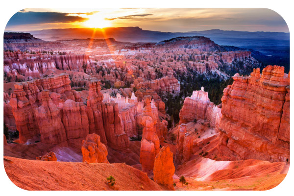 Visit the Grand Canyon, Zion, Bryce, Lake Powell, Sedona.