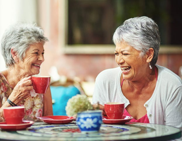 Friendly Visitor Program: Navigating Dementia Care in the Mount Washington Valley